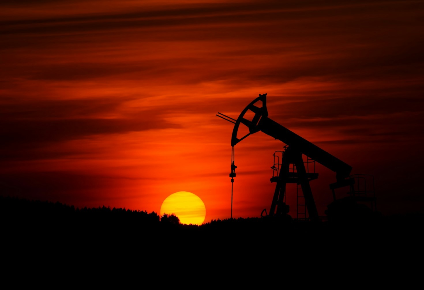 Emerging Business Opportunities In The Delta
